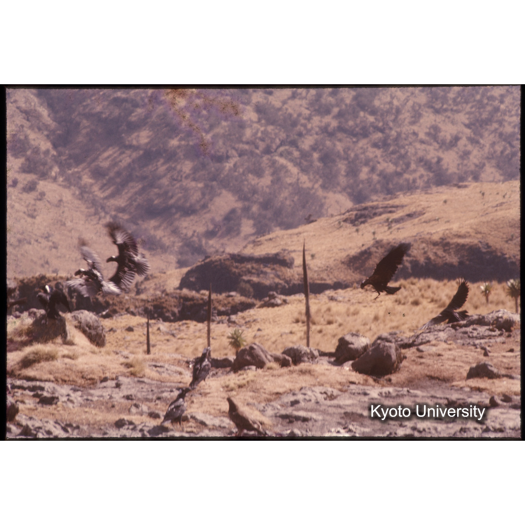 Sm　1973　1048 (1)