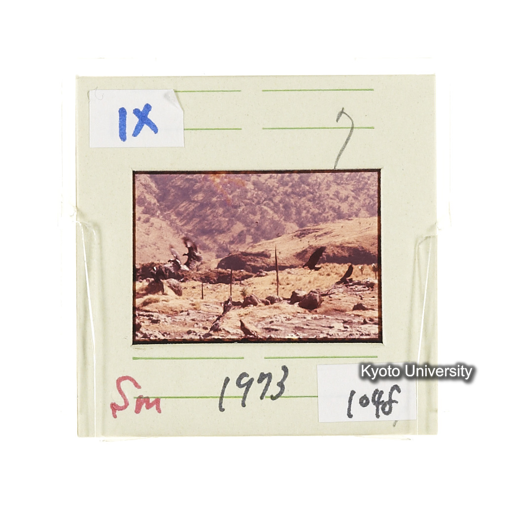 Sm　1973　1048 (2)