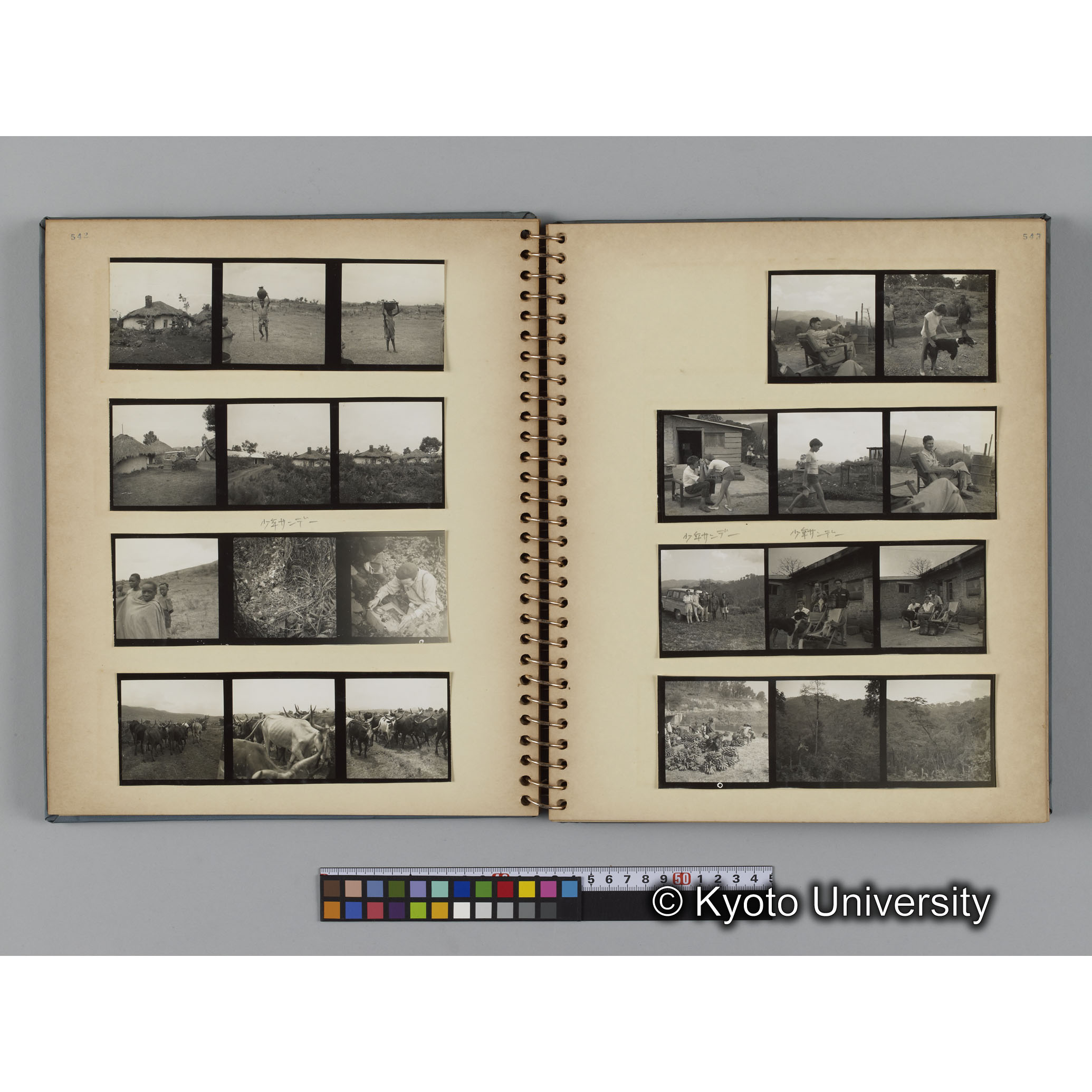 [見開き７]ネガスリーブ542,543対応分 (1)