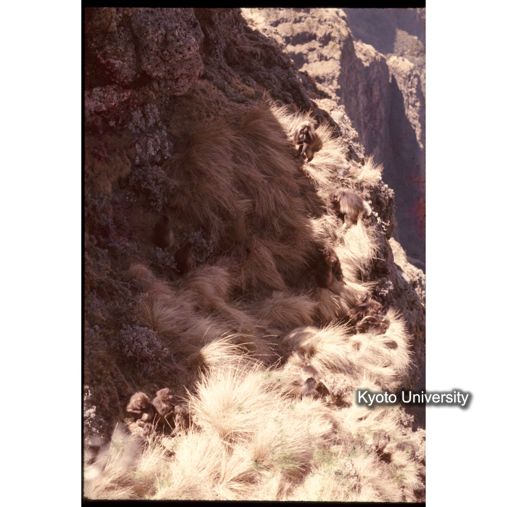 Sm　1973　1362 (1)