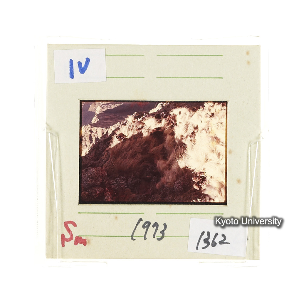 Sm　1973　1362 (2)