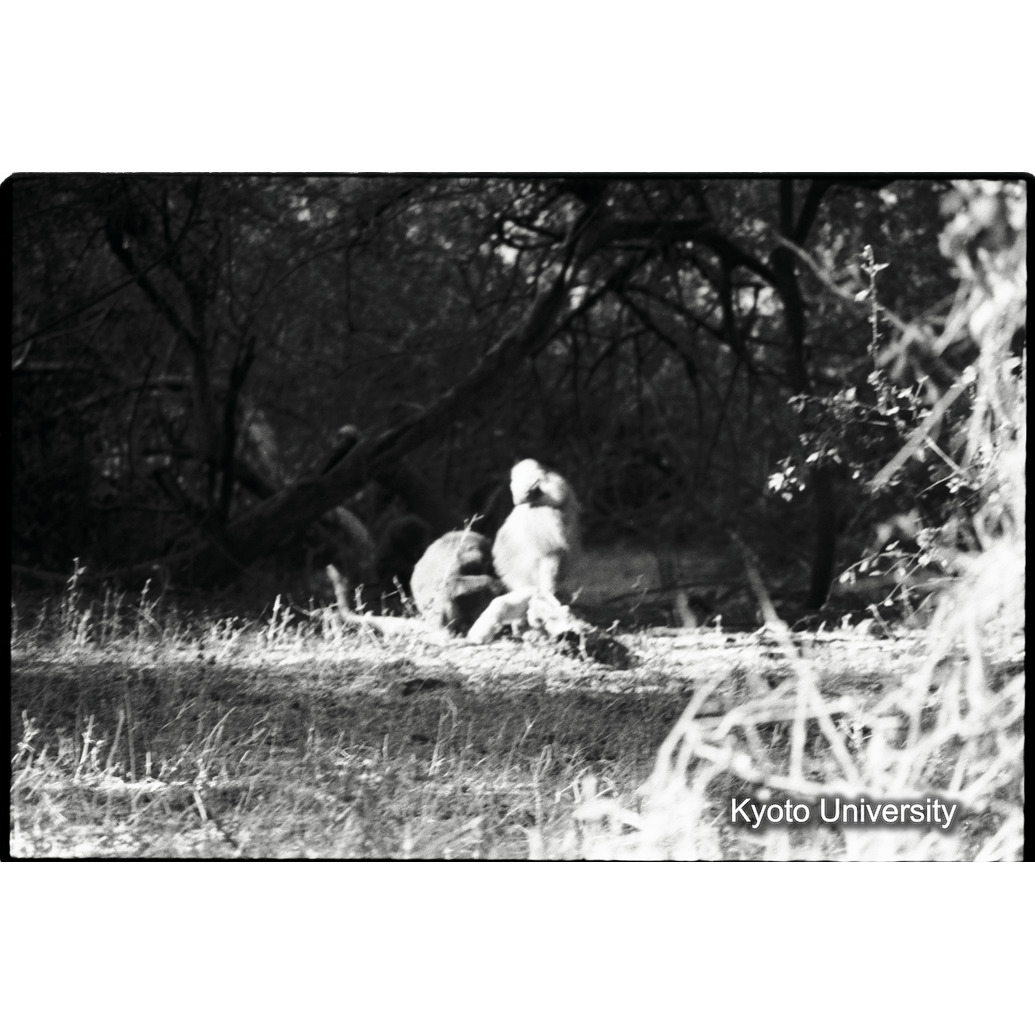 [３０コマ目]「×」 (1)