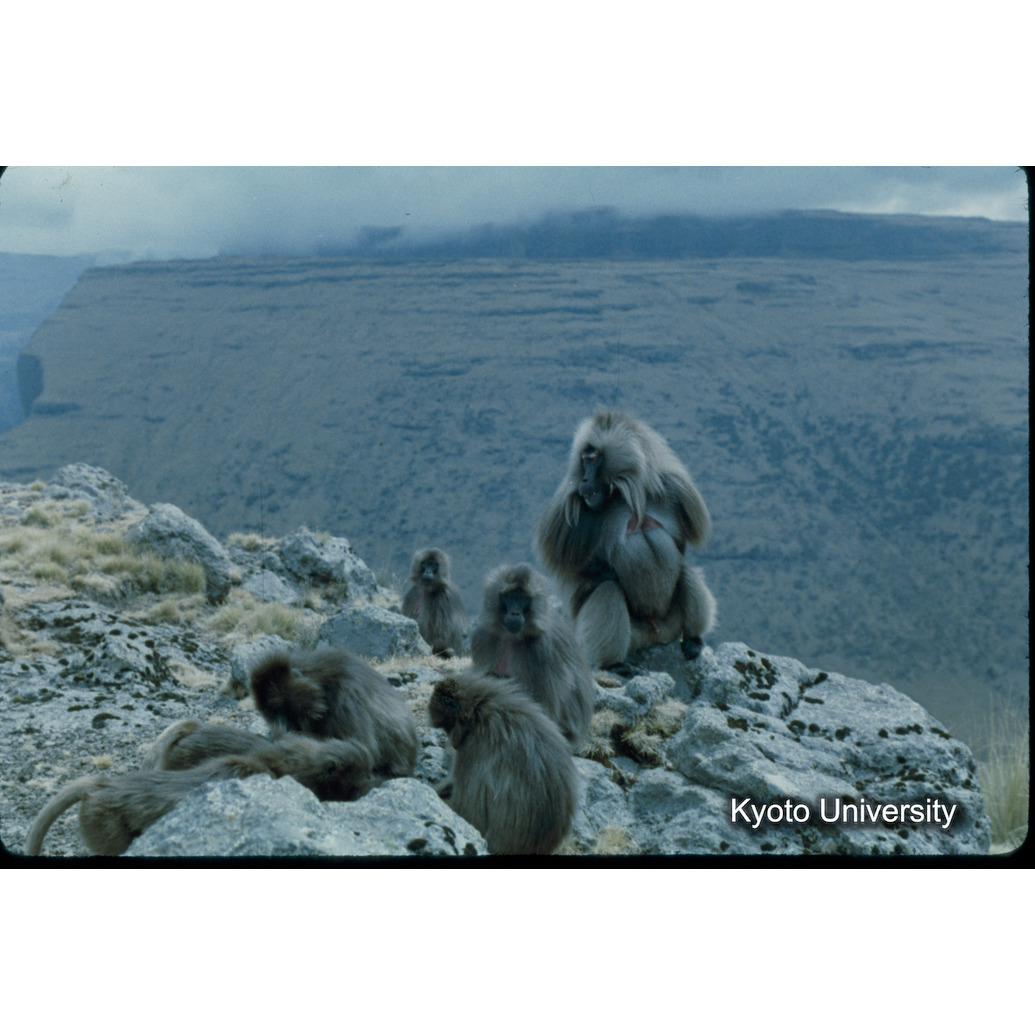 Sm　1973　39　（N）[赤色, 丸囲み] (1)