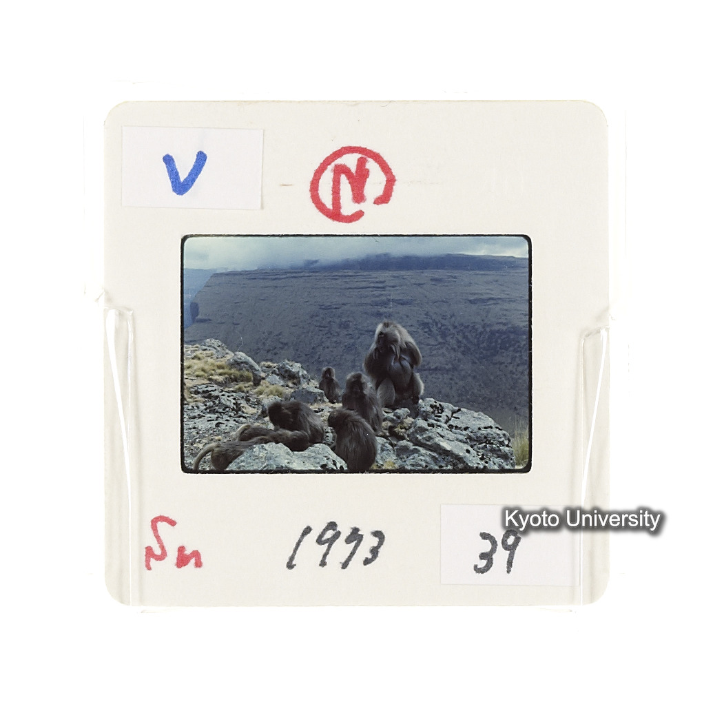 Sm　1973　39　（N）[赤色, 丸囲み] (2)