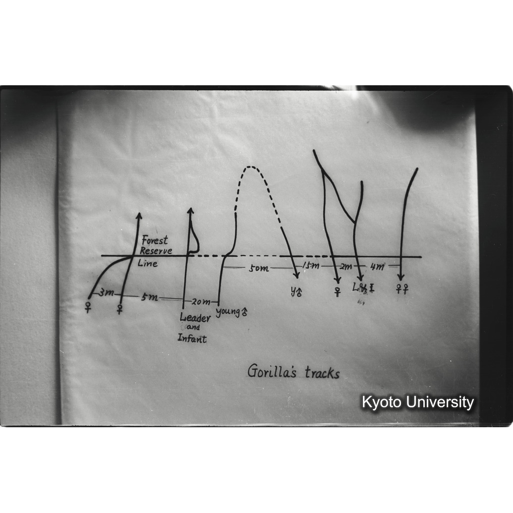 [２コマ目]「資料のまとめ（成果）」 (1)