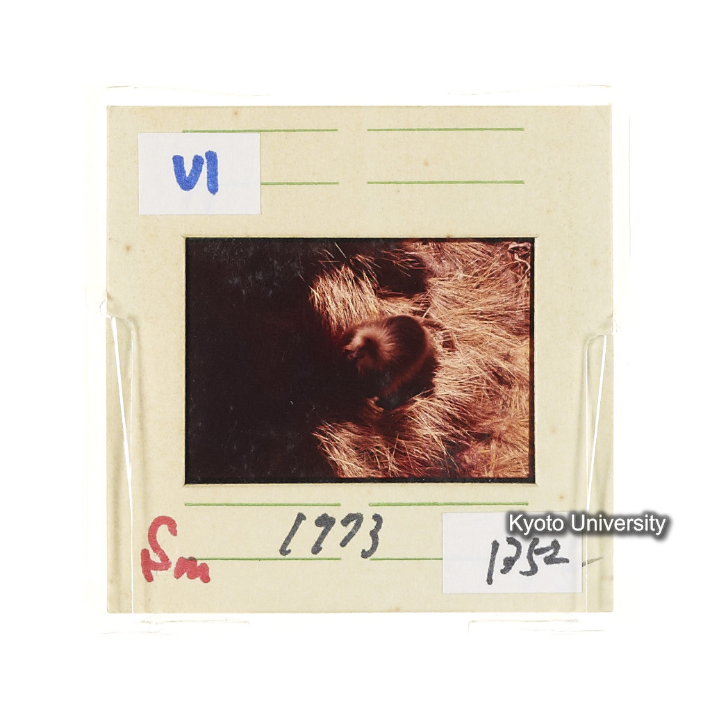 Sm　1973　1352 (2)