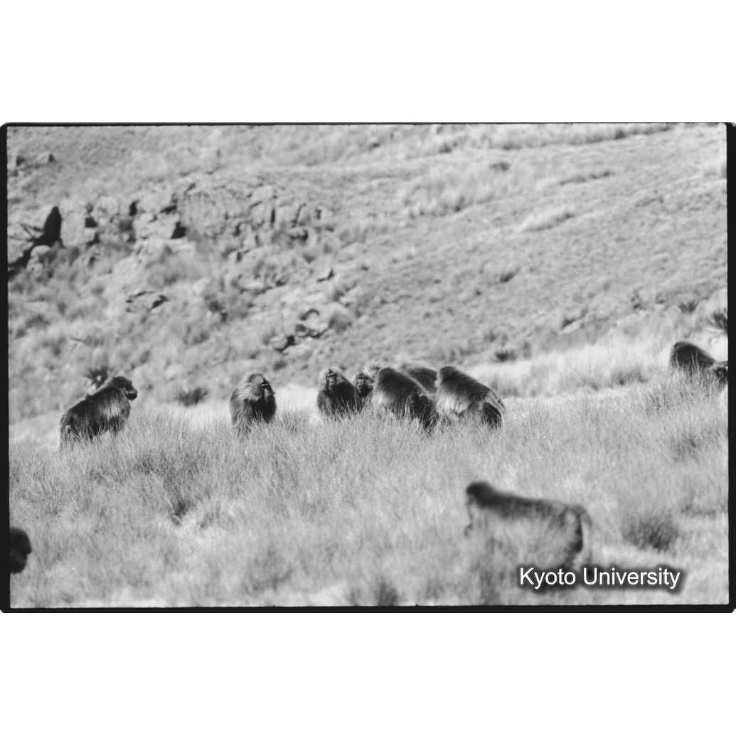 [１３コマ目]「アンバラスAバンドから来た雄グループと対峙するユニットリーダー雄」 (1)