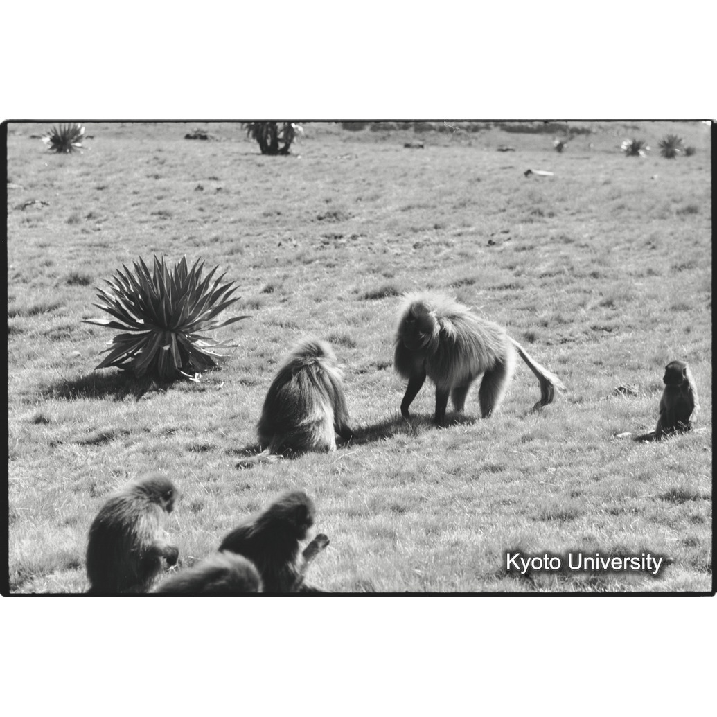 [２９コマ目]「アインユニット（４）」 (1)