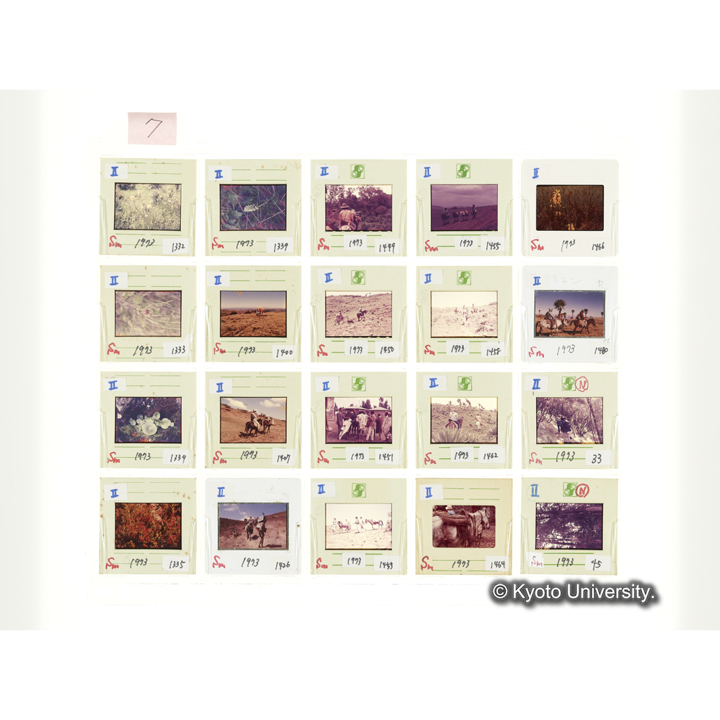 [スライドシート] 7 (1)