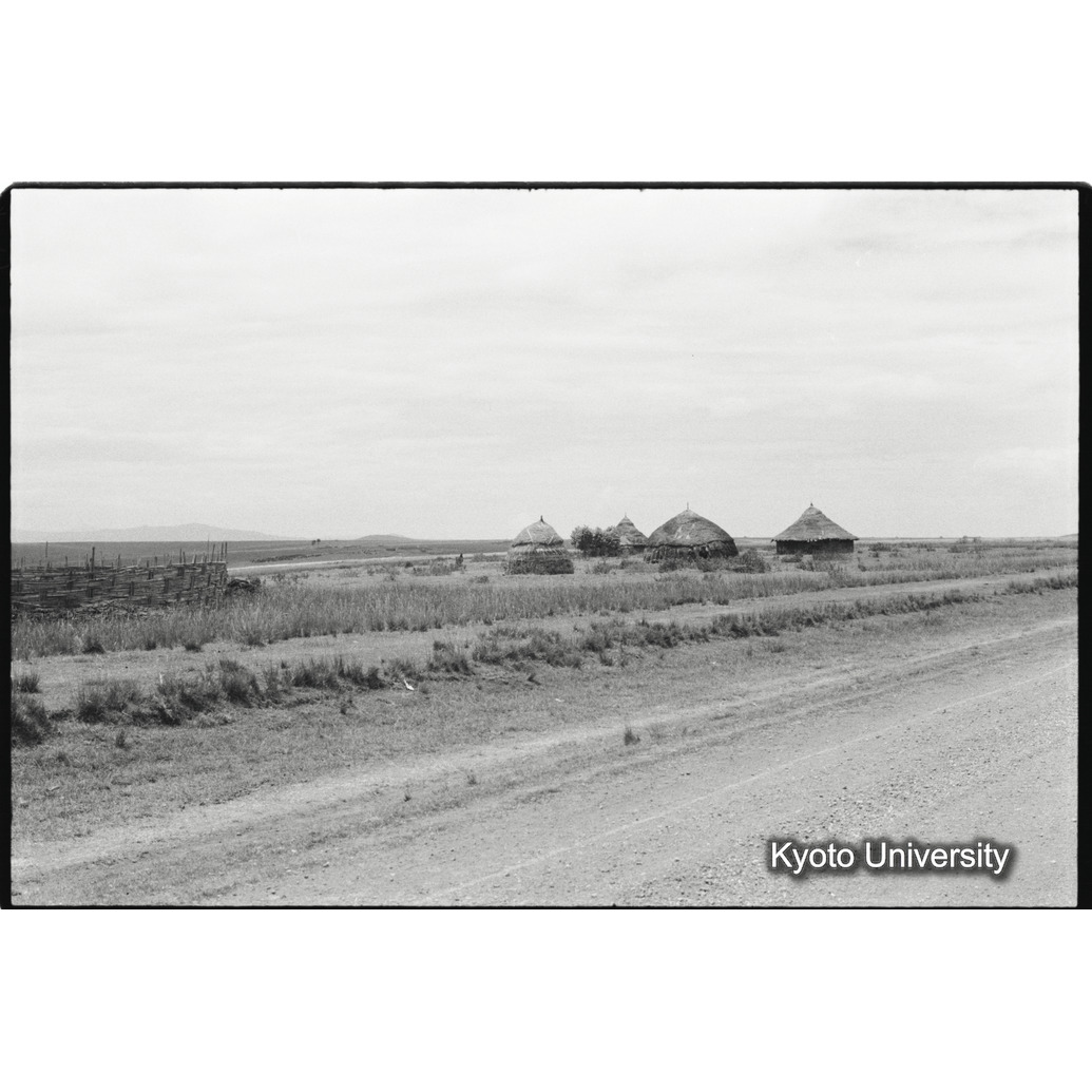 [２コマ目]「シダモ族の農家（１）」 (1)