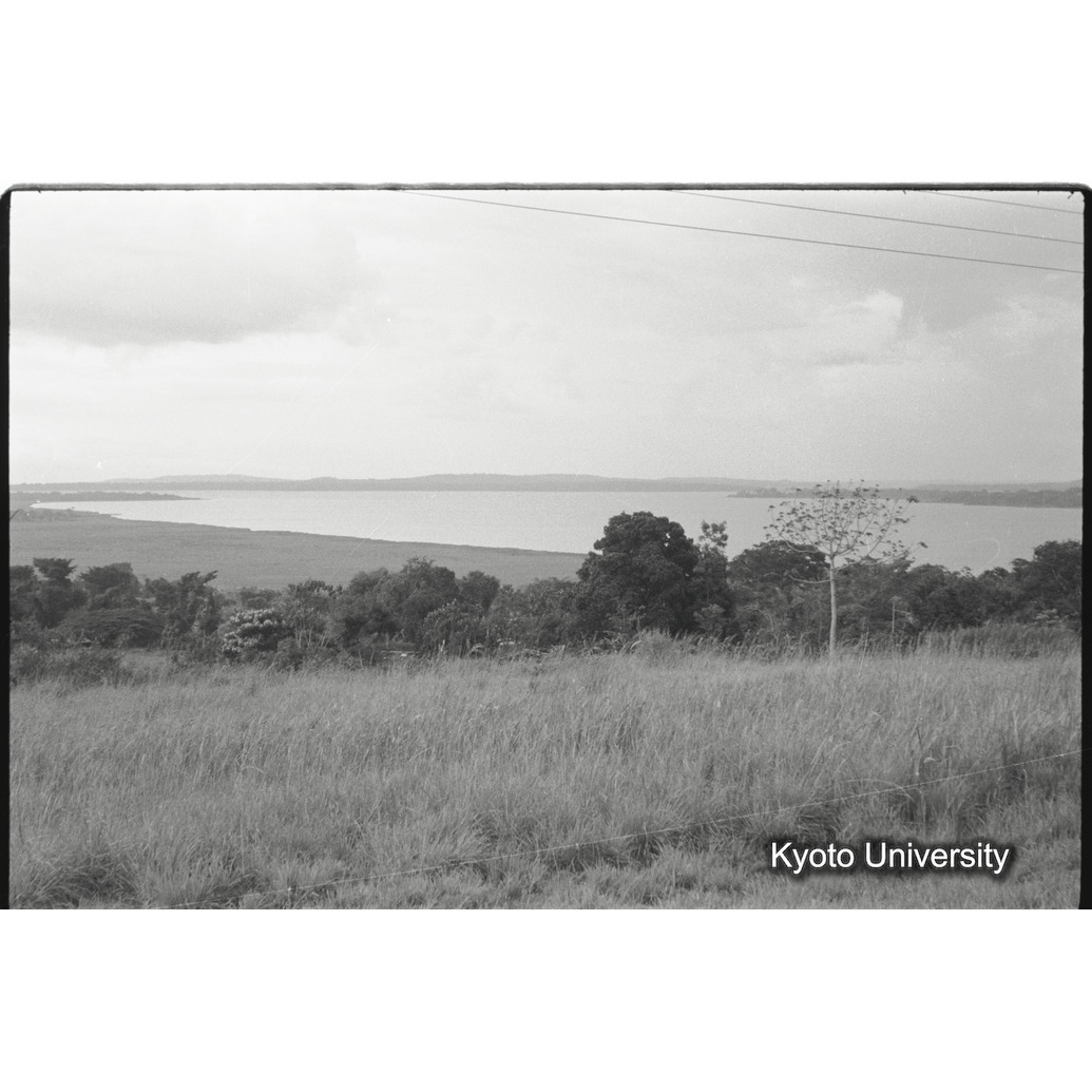 [15コマ目]「川辺林」 (1)