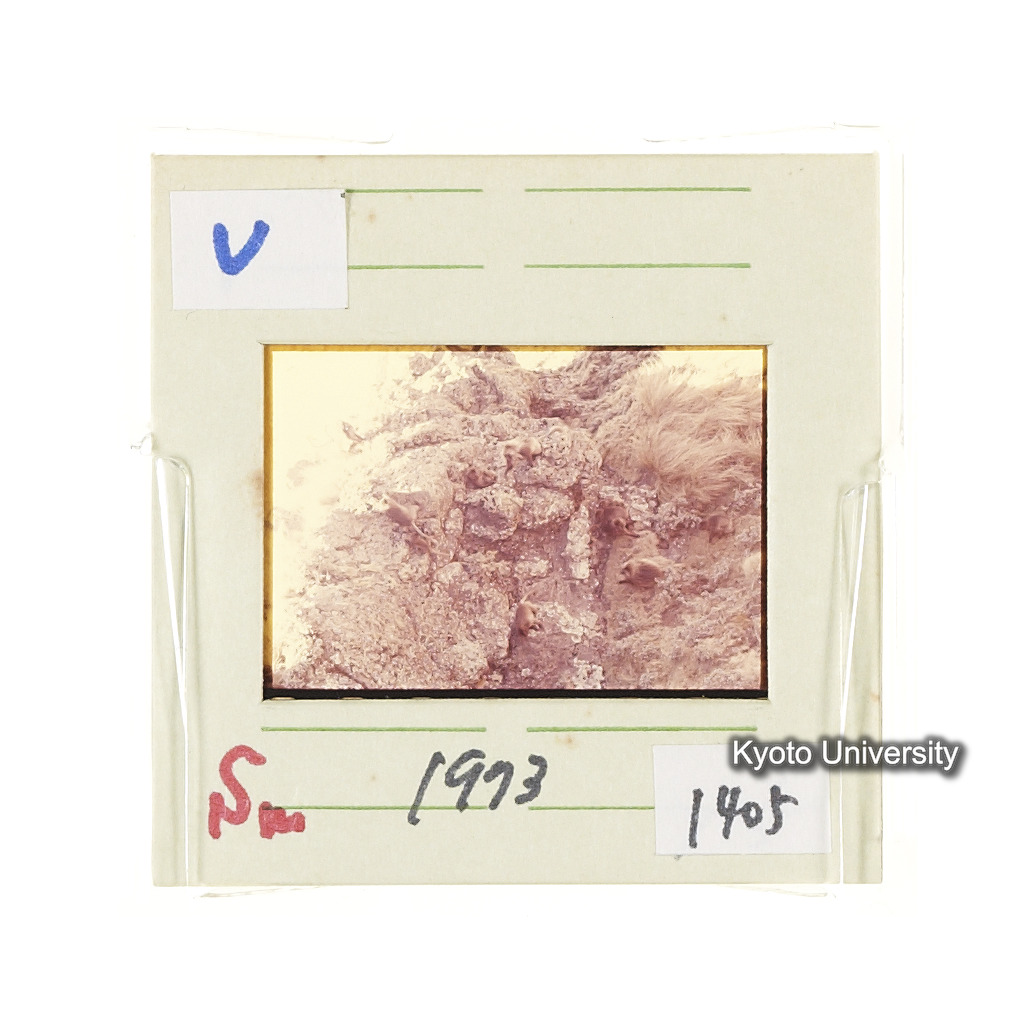 Sm　1973　1405 (2)