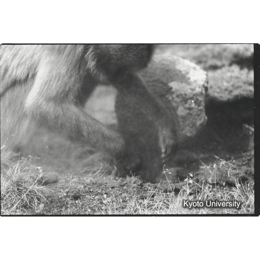 [７コマ目]「×」 (1)