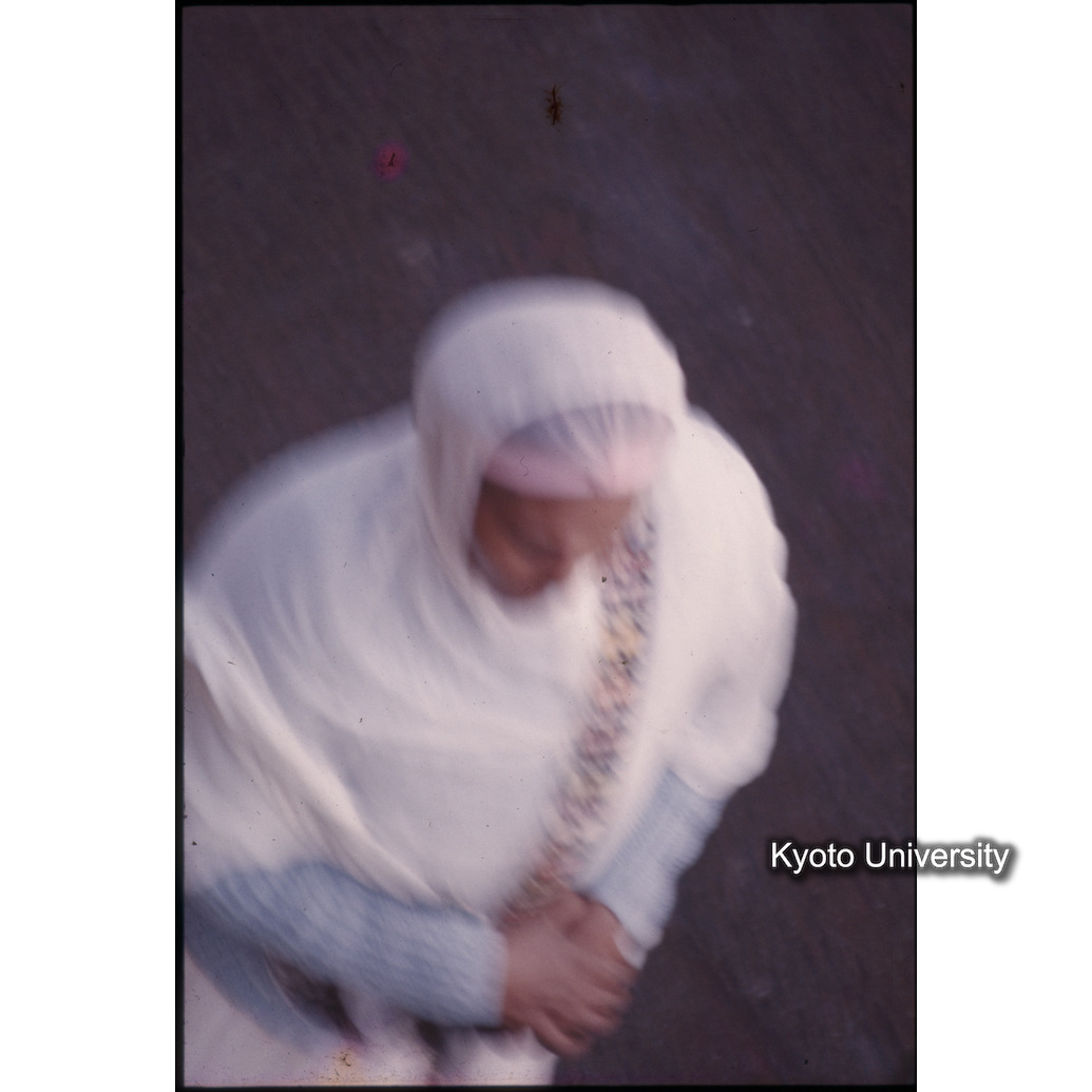 AdAb　1974　96 (1)