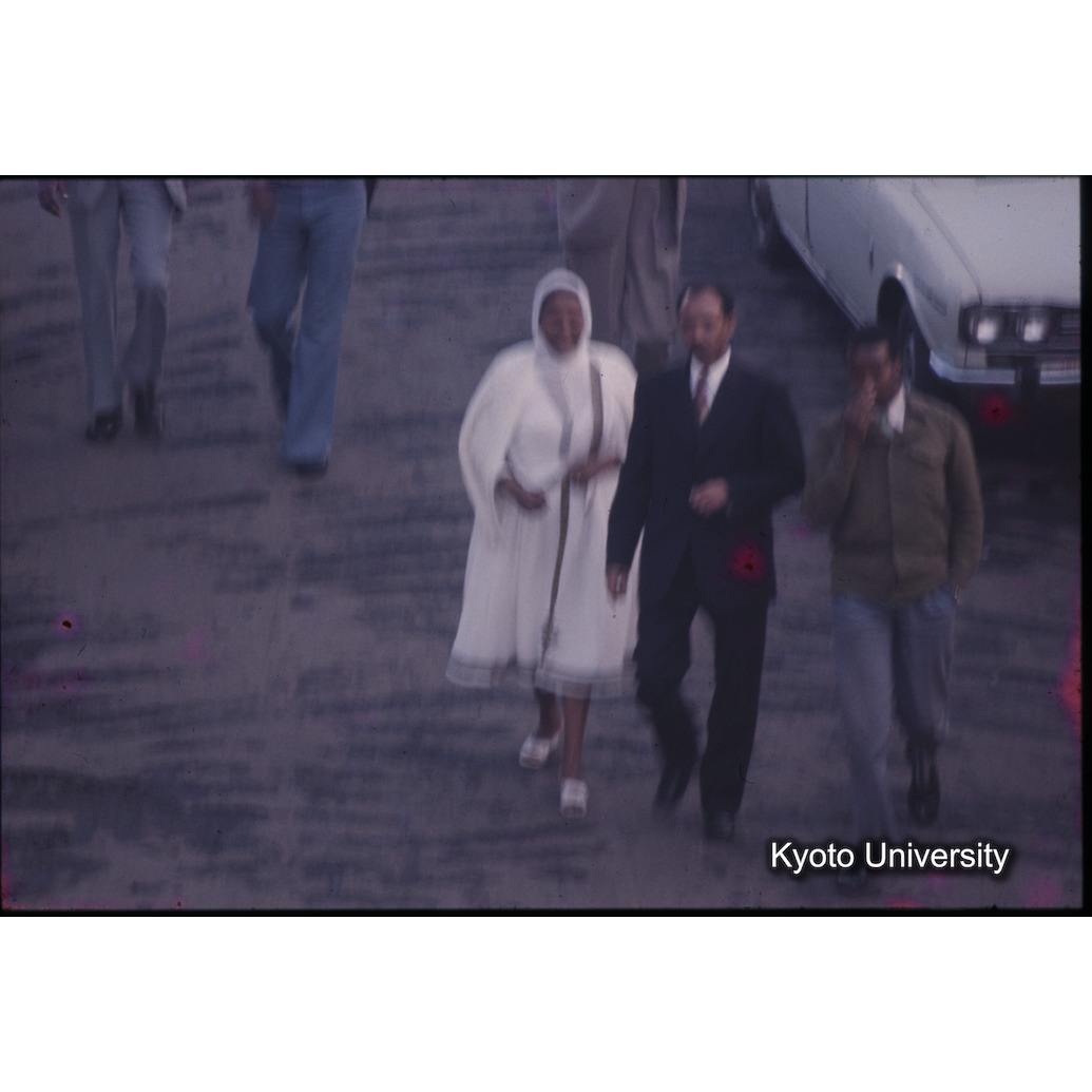 AdAb　1974　97 (1)