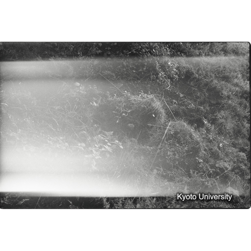 [22コマ目]「×」 (1)