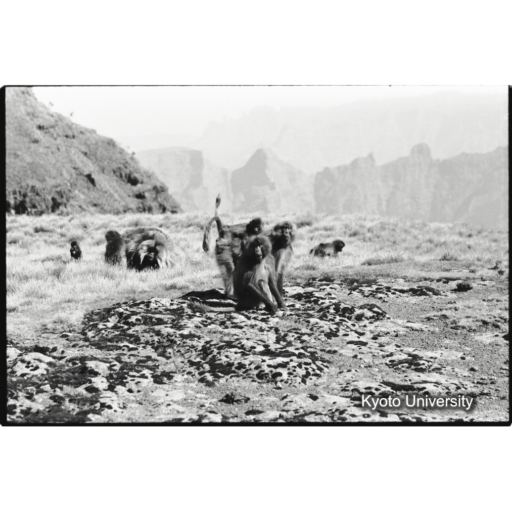 [１３コマ目]「母と子」 (1)