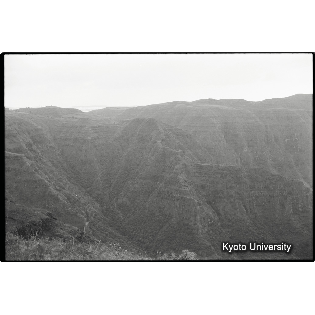 [７コマ目]「×」 (1)