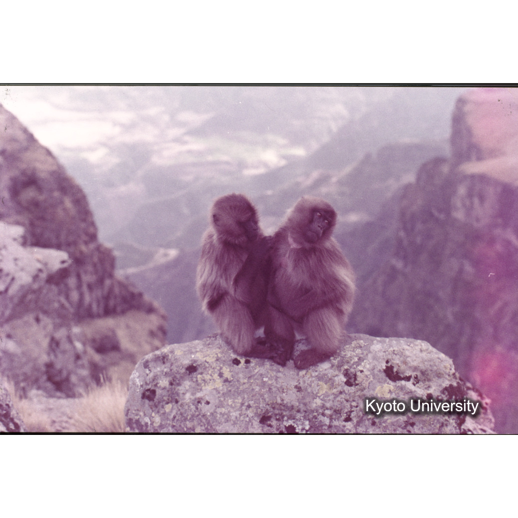 Sm　1973　35　（N）[赤色, 丸囲み] (1)