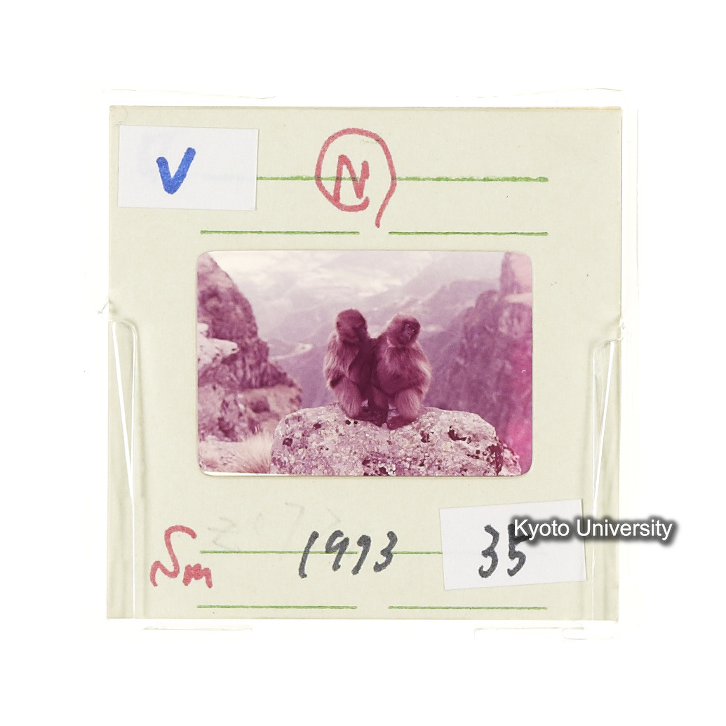 Sm　1973　35　（N）[赤色, 丸囲み] (2)