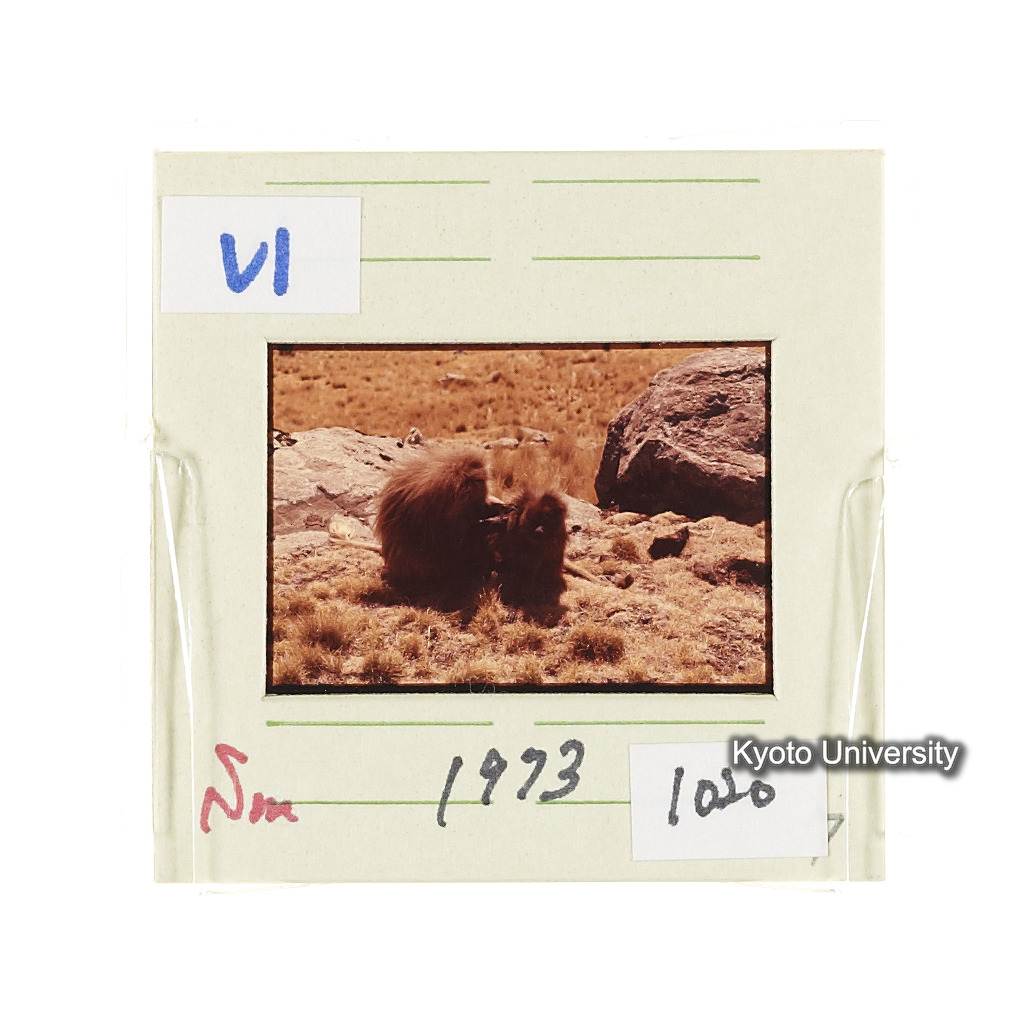 Sm　1973　1020 (2)