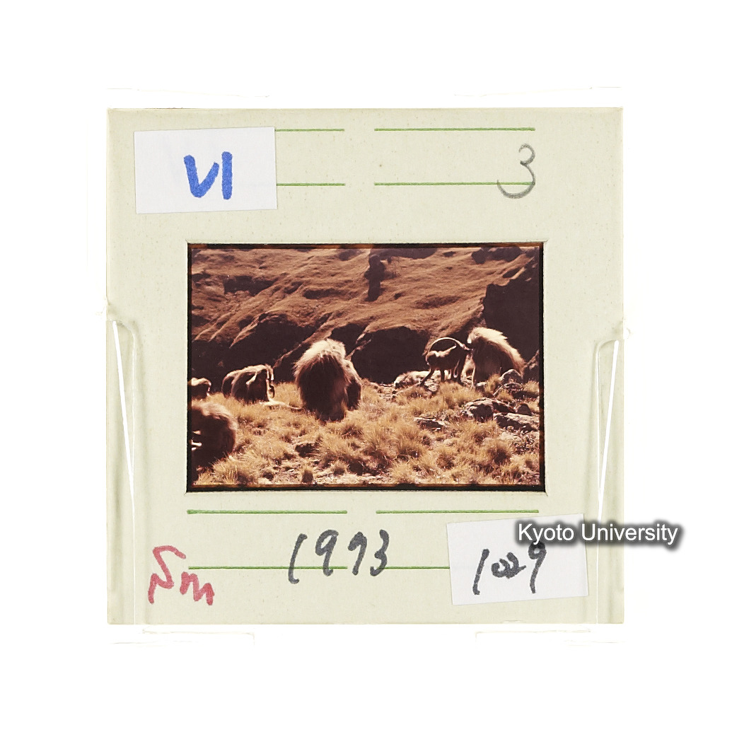 Sm　1973　1029 (2)