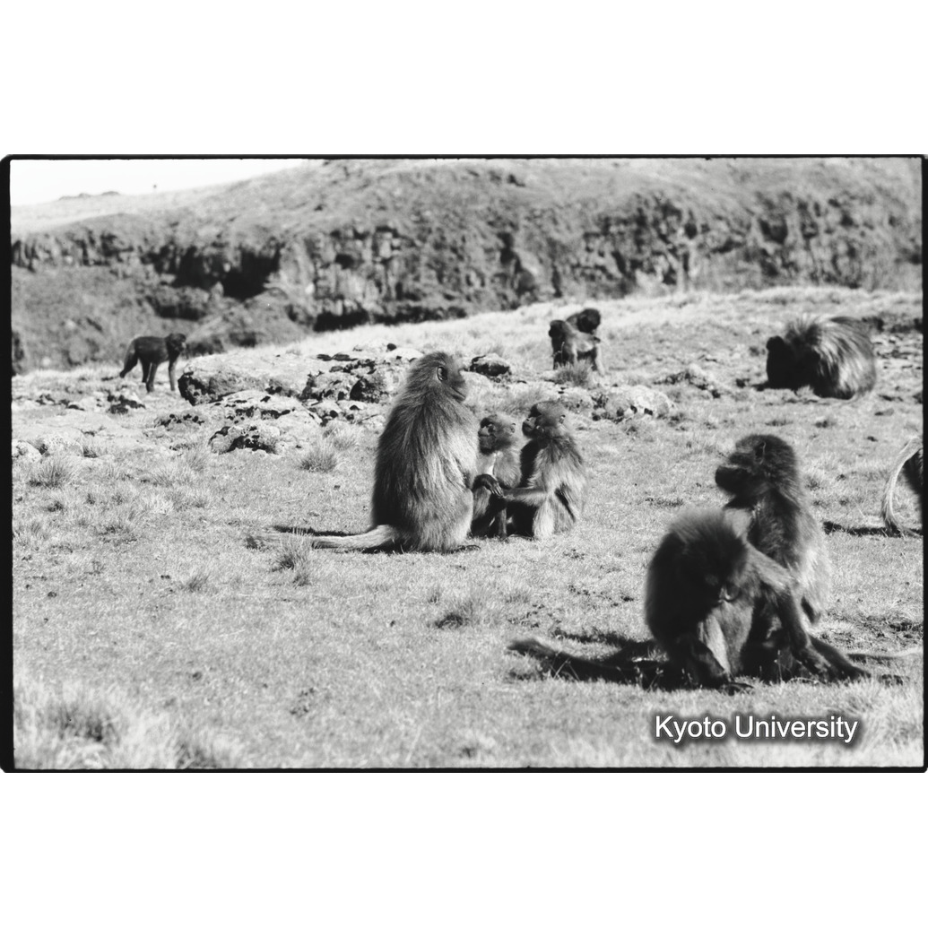 [８コマ目]「あそび（５）」 (1)