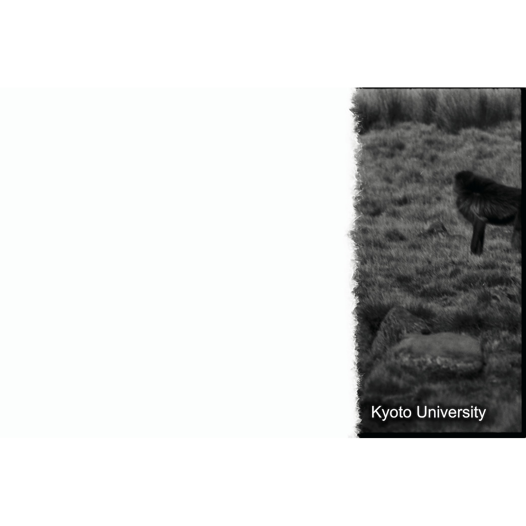 [１コマ目]「×」 (1)