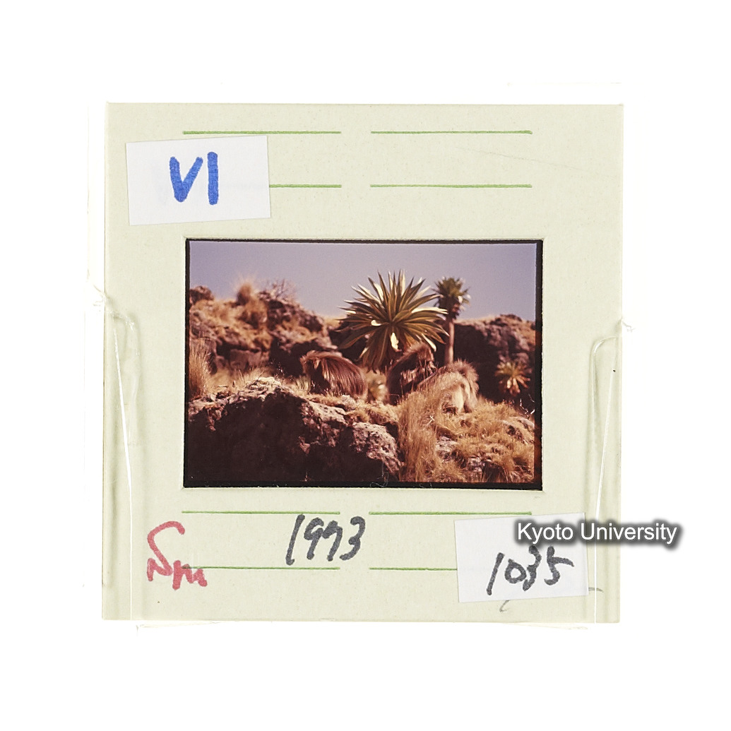 Sm　1973　1035 (2)