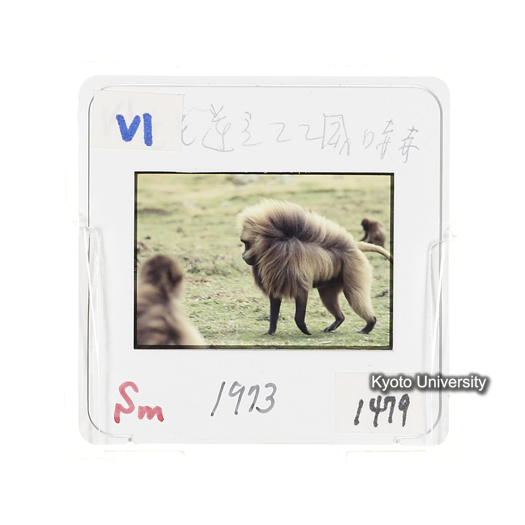 Sm　1973　1479 (2)