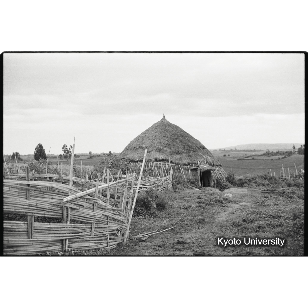 [３３コマ目]「シダモ族の農家（８）」 (1)