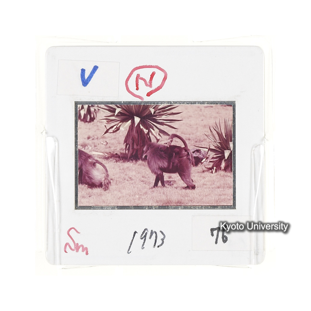 Sm　1973　76　（N）[赤色, 丸囲み] (2)