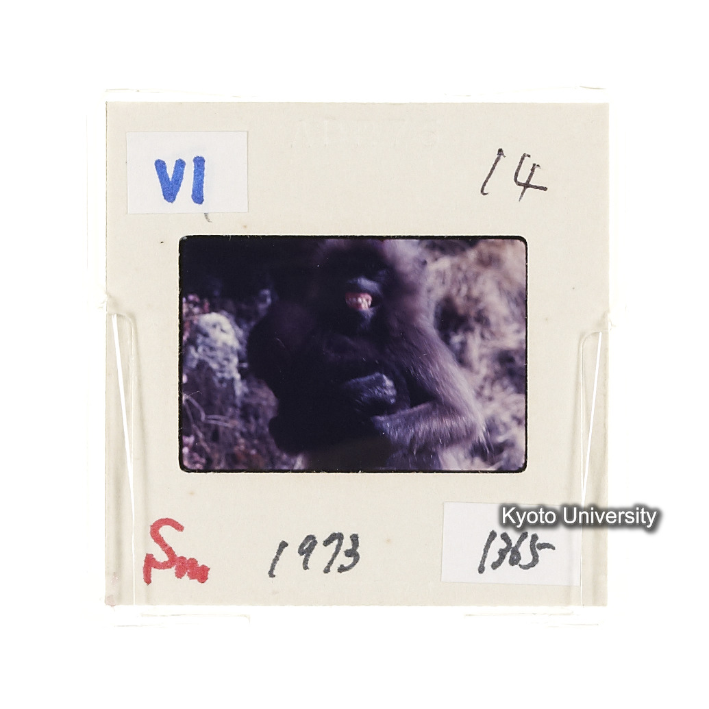 Sm　1973　1365 (2)