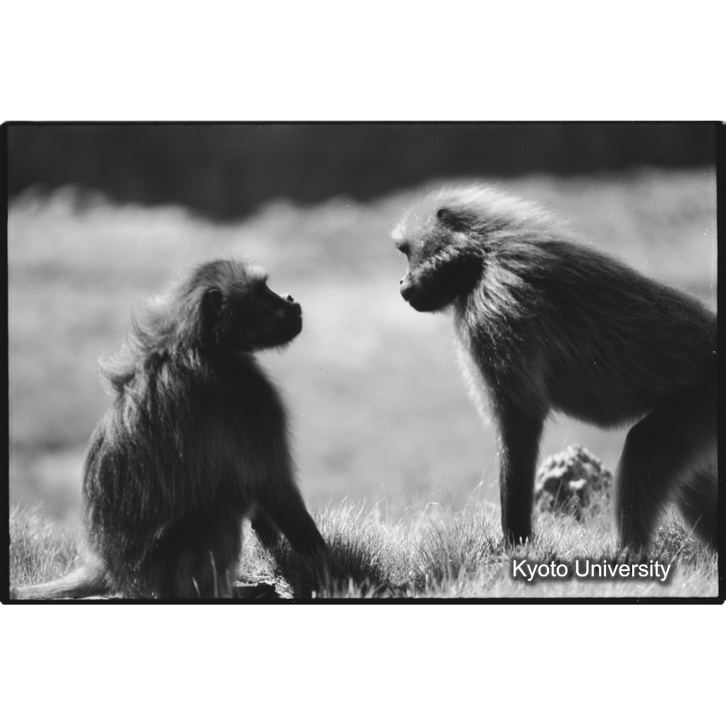 [３２コマ目]「×」 (1)