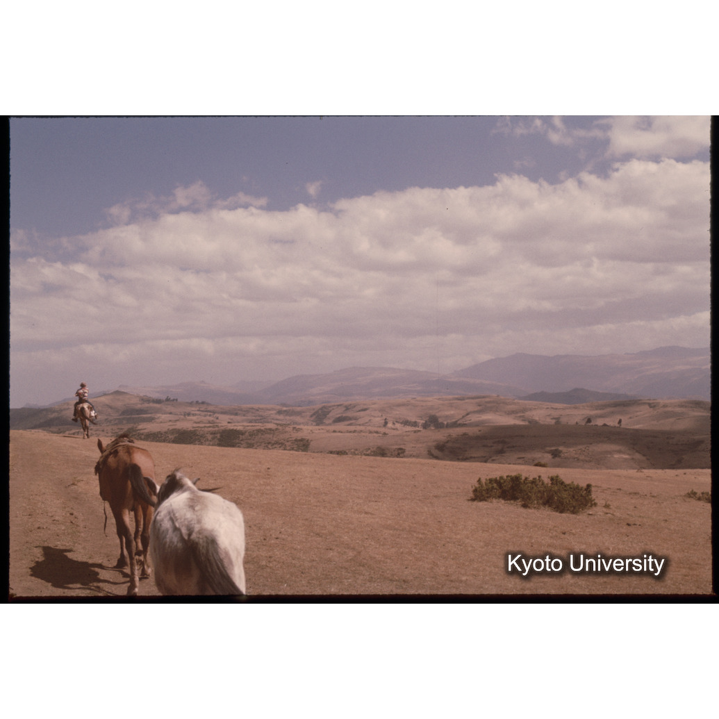 Sm　1973　1119 (1)