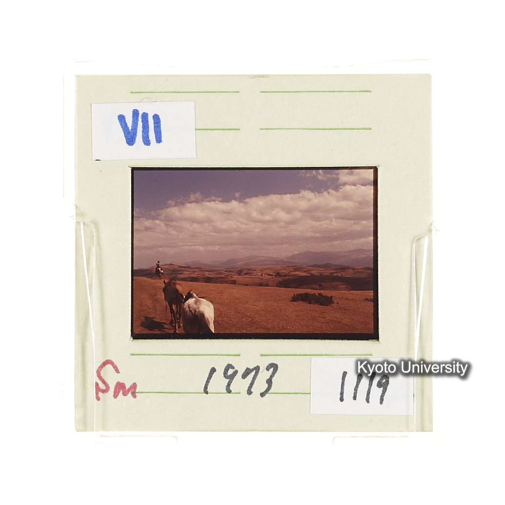 Sm　1973　1119 (2)