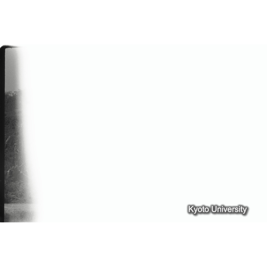 [34コマ目]「×」 (1)