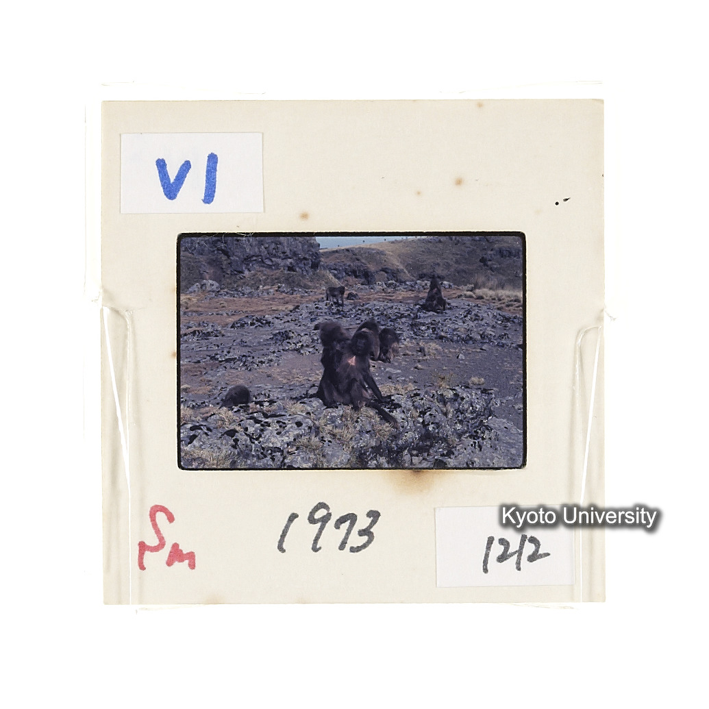 Sm　1973　1212 (2)