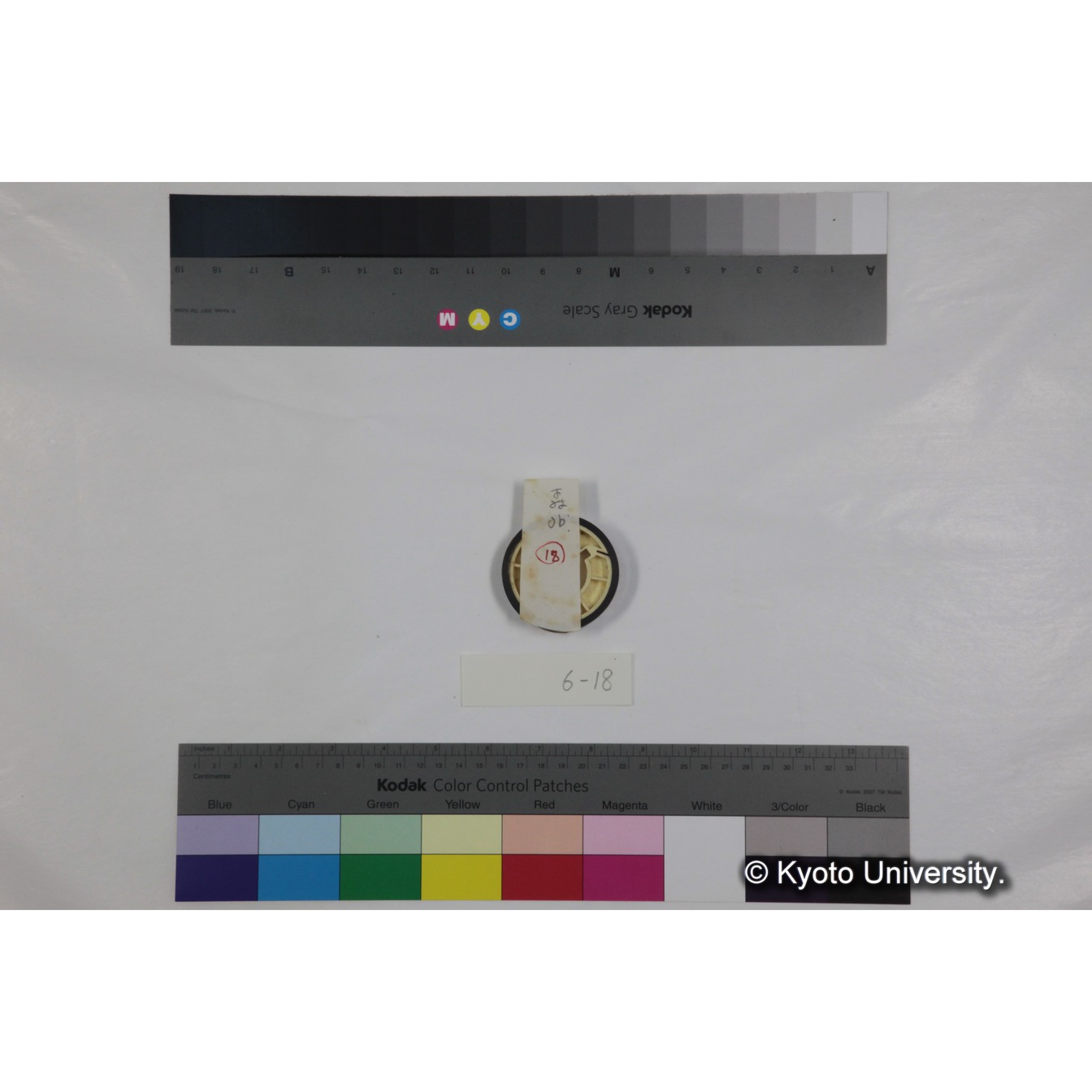 フッテージ１８「森.ub.」 (3)