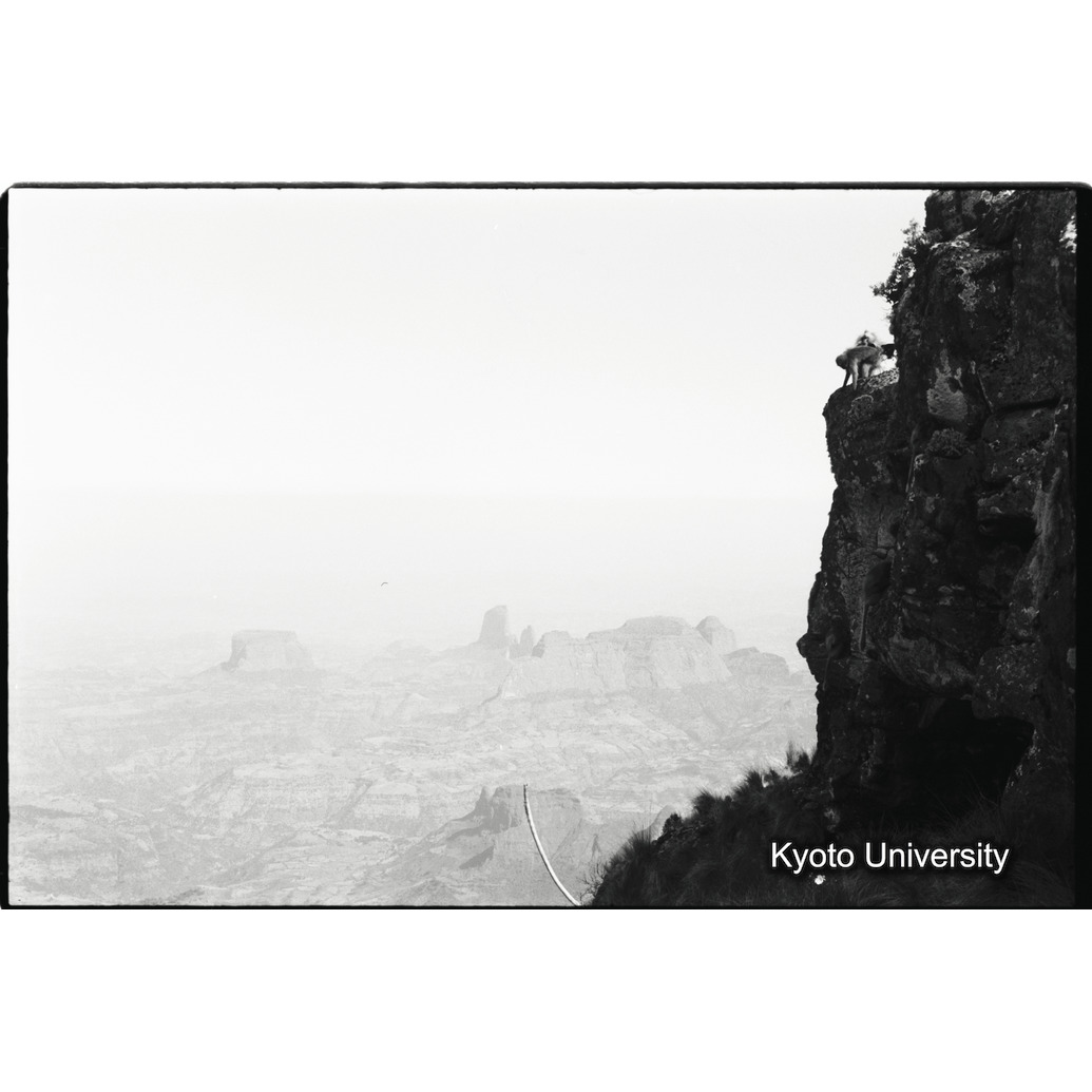 [１２コマ目]「崖での休息（１）」 (1)