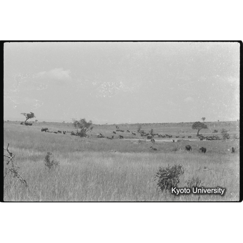 [24コマ目]「×」 (1)