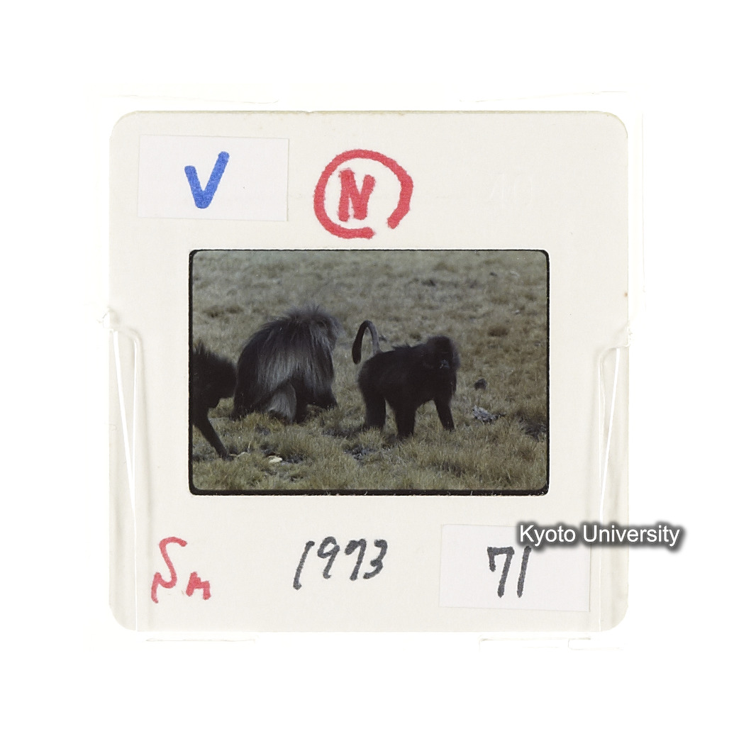 Sm　1973　71　（N）[赤色, 丸囲み] (2)