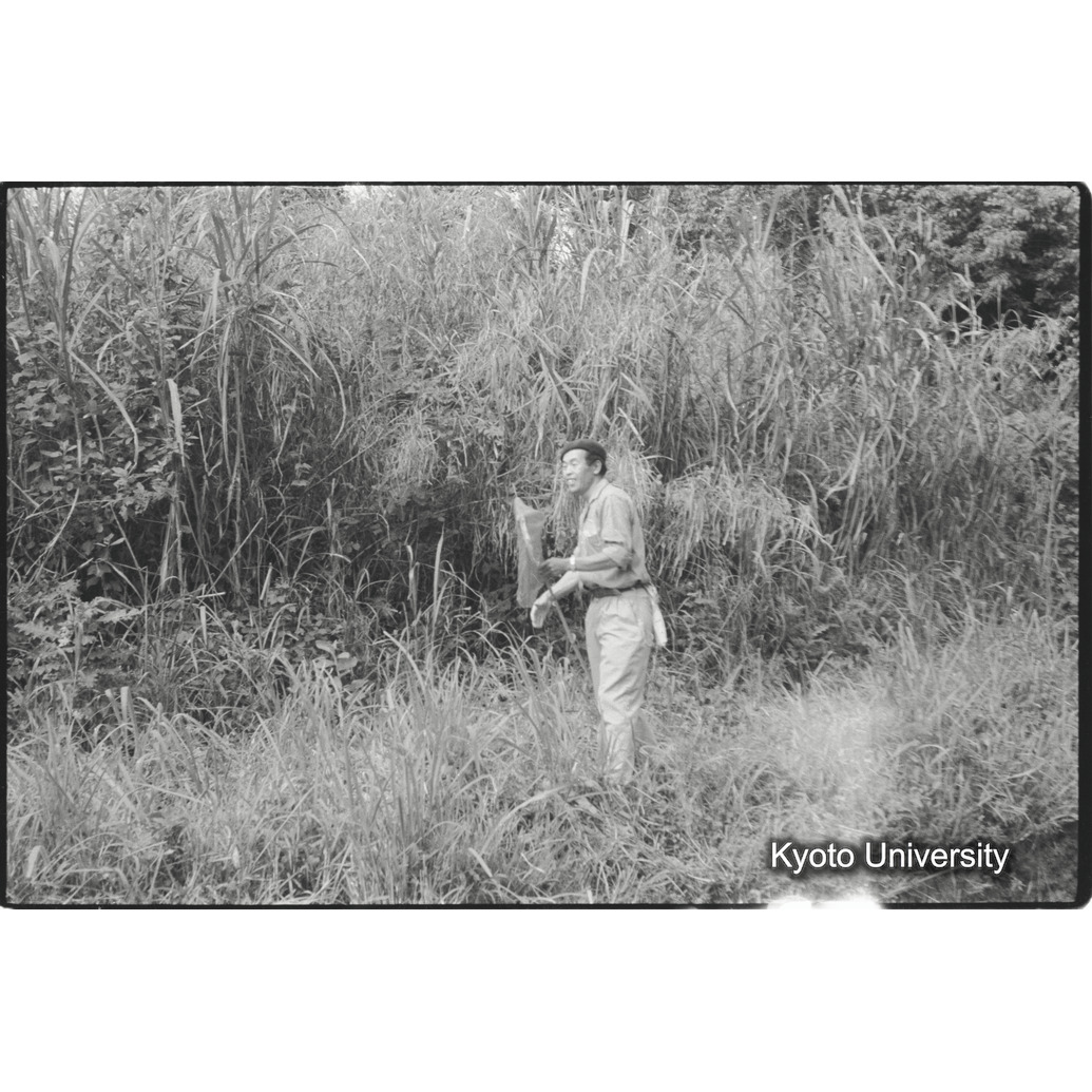 [１コマ目]「蝶採集」 (1)