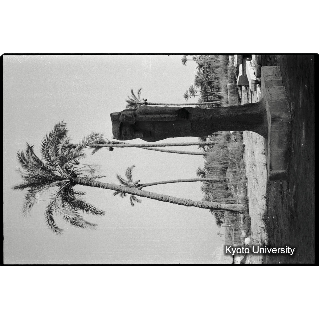 [８コマ目]「トランジットのエジプト」「×」 (1)