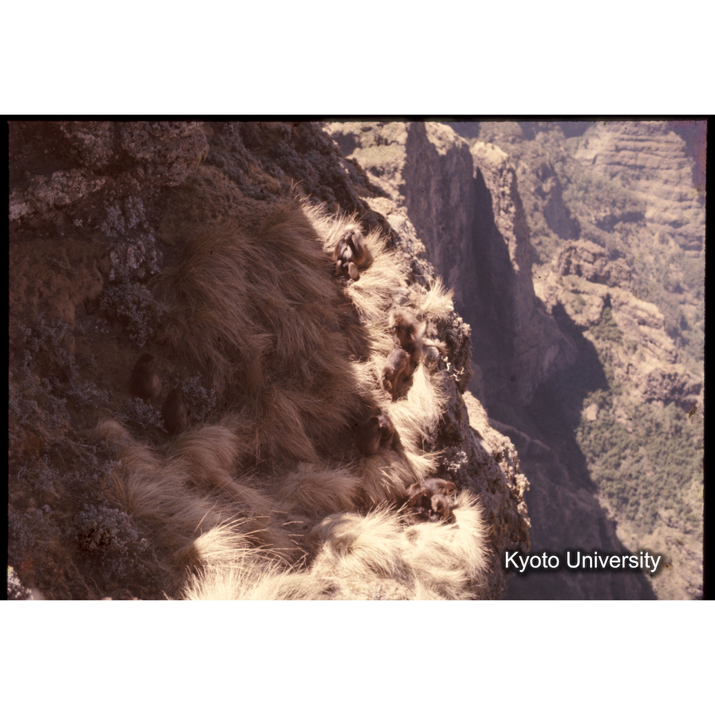 Sm　1973　1421 (1)