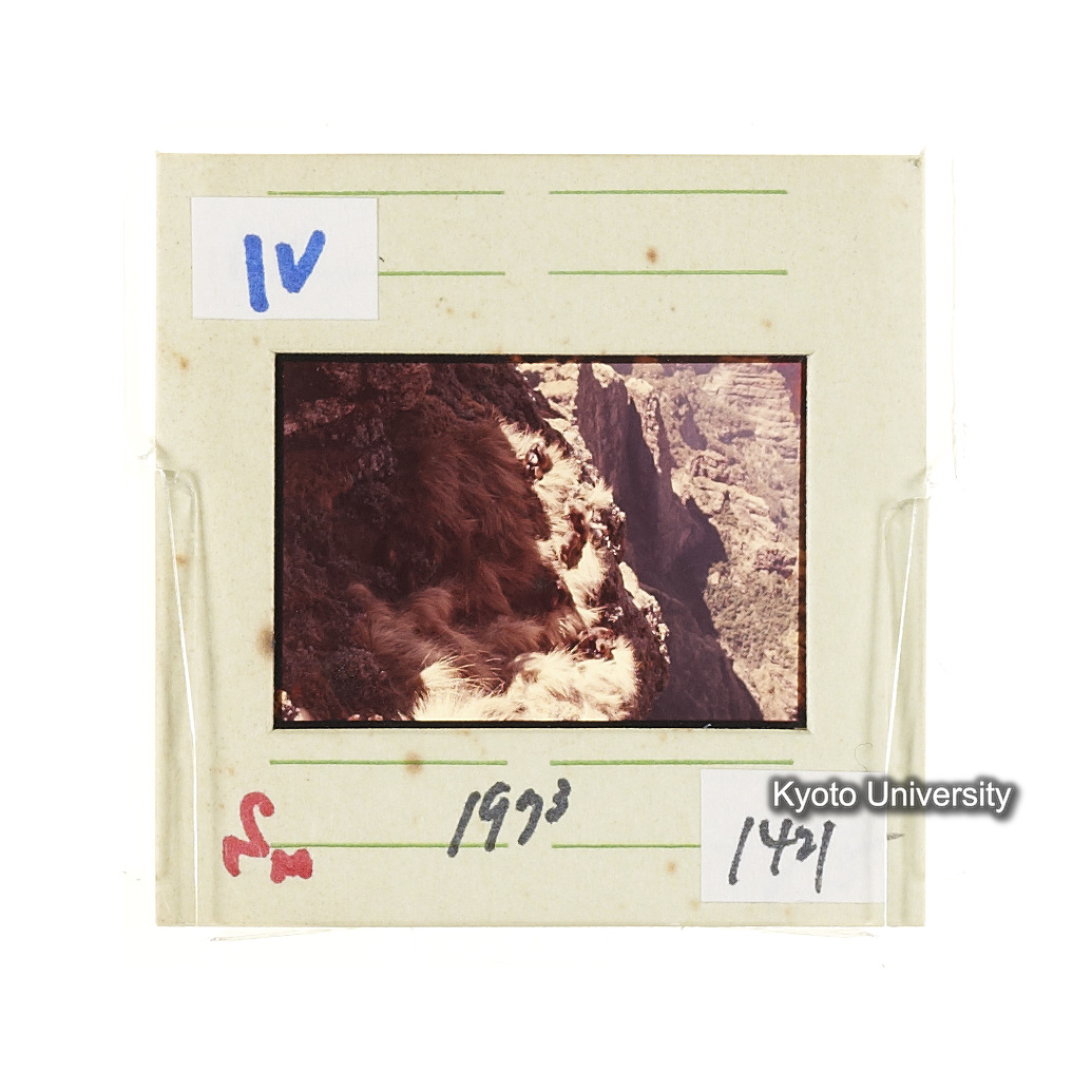 Sm　1973　1421 (2)