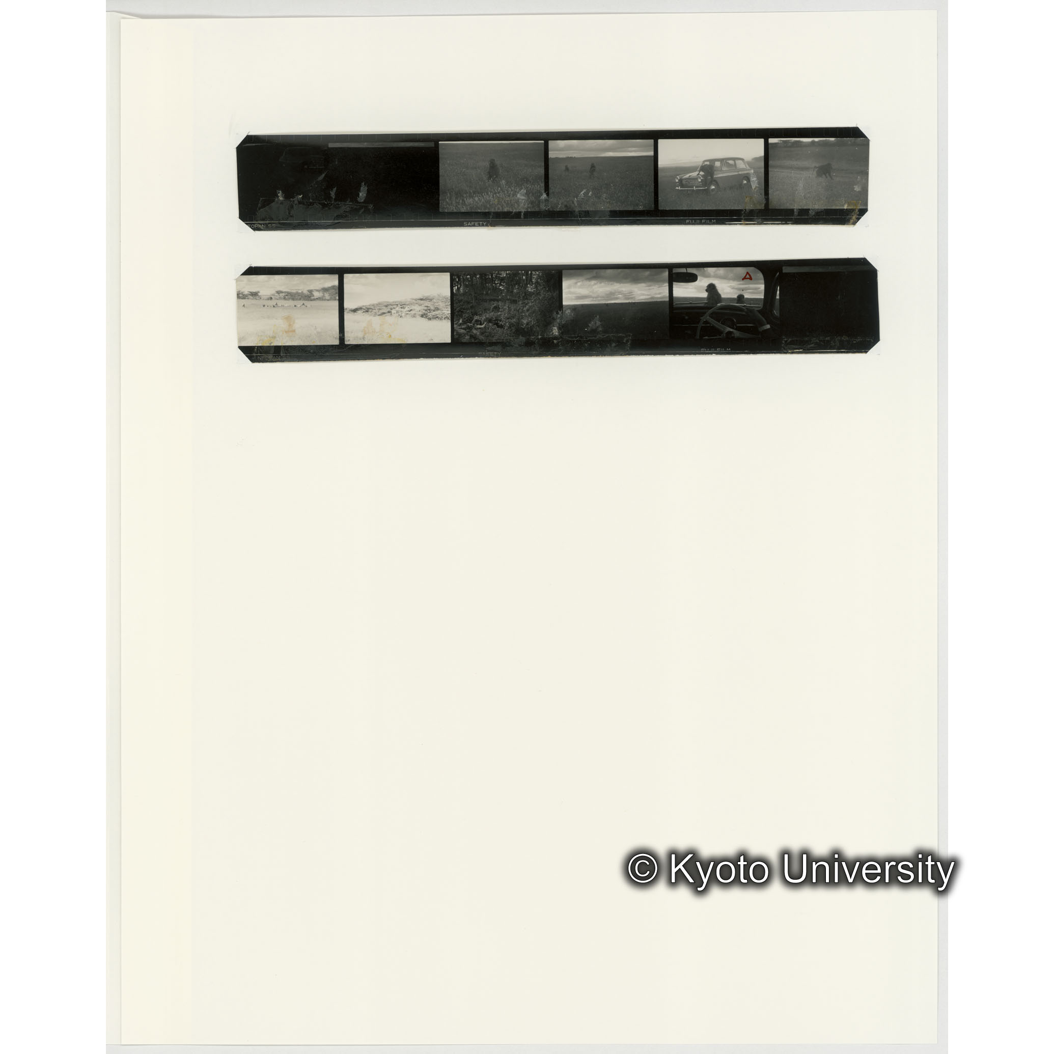 [ネガフィルムスリーブ3]「５３５」 (2)