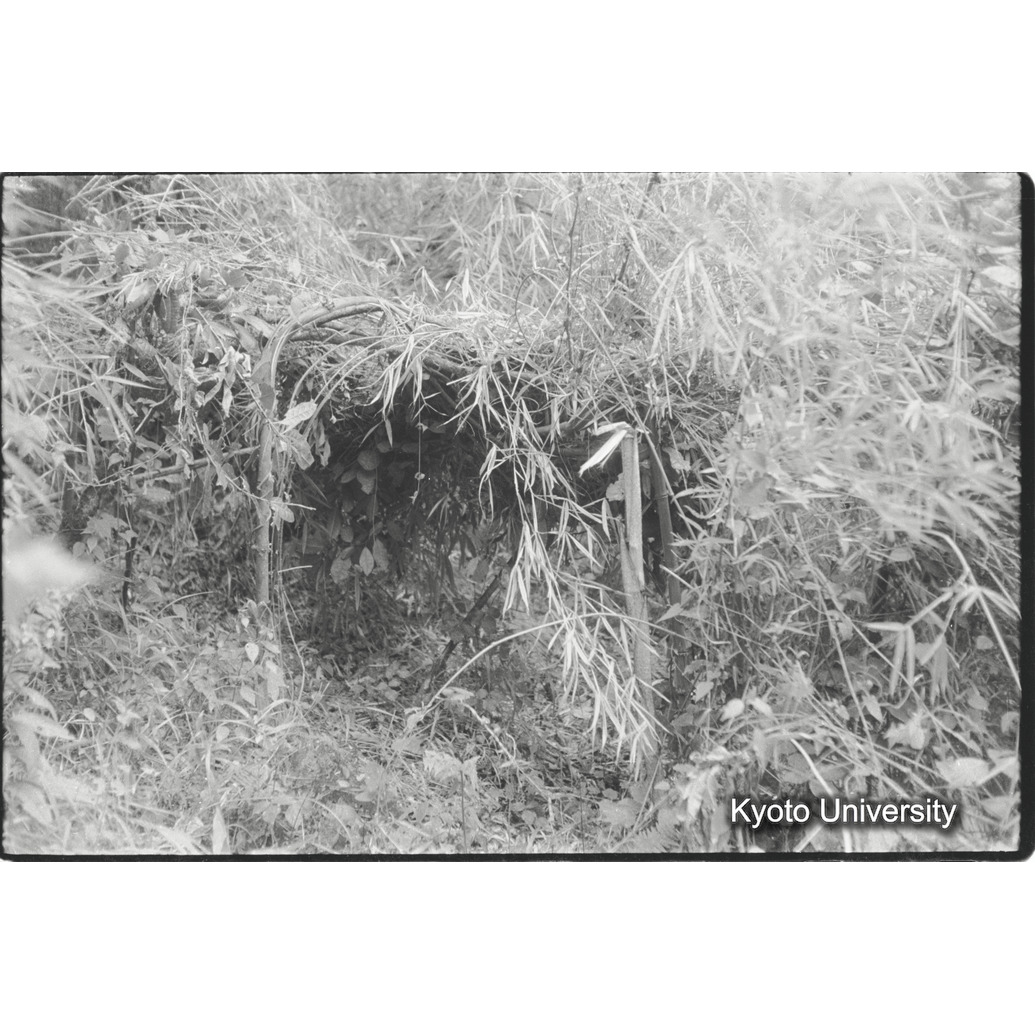 [２コマ目]「ネスト（Ｎｅｓｔ）（Ｂｅｄ）」 (1)