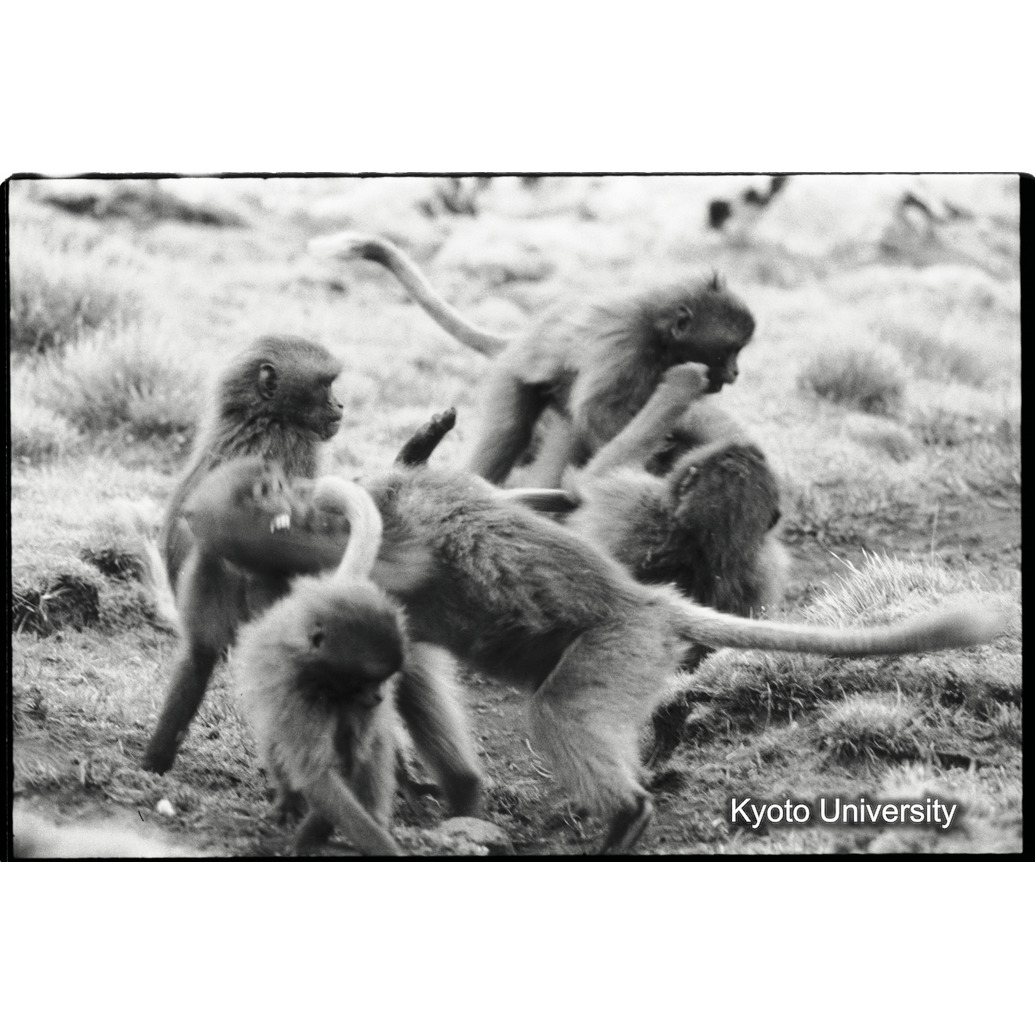 [３コマ目]「コドモのあそび（１）」 (1)