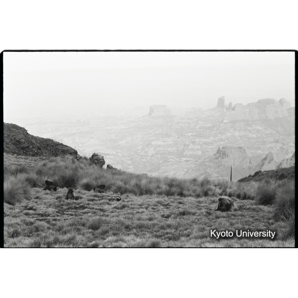 [２７コマ目]「風景（３）」 (1)